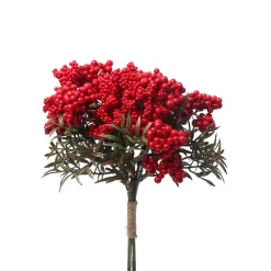 Bouquet de Baies