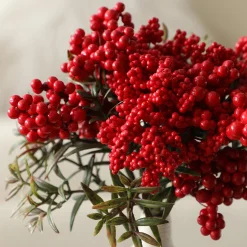 Bouquet de Baies