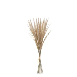 Bouquet de Pampa 12 tiges 50 cm