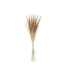 Bouquet de Pampa 7 tiges 50 cm