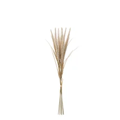 Bouquet de Pampa 7 tiges 50 cm