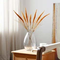 Bouquet de Pampa 7 tiges 50 cm