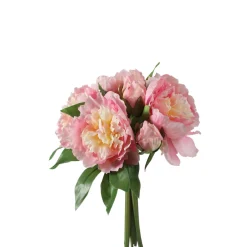 Bouquet de Pivoines