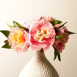 Bouquet de Pivoines