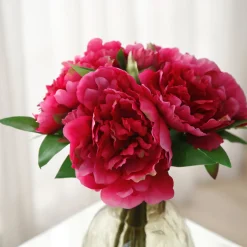 Bouquet de Pivoines
