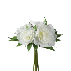 Bouquet de Pivoines