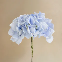 Bouquet d’Hortensia bleu 12 tiges