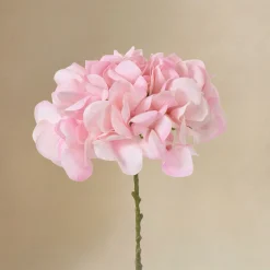 Bouquet d’Hortensia rose 9 tiges