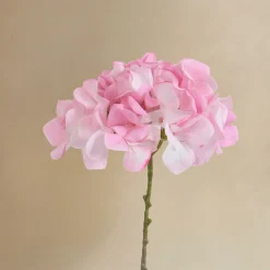 Bouquet d’Hortensia rose 9 tiges