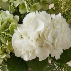 Bouquet d'Hortensias Élora