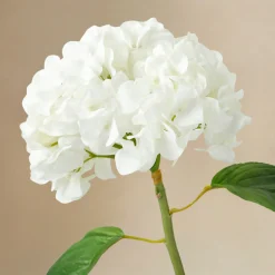 Bouquet d'Hortensias Élora
