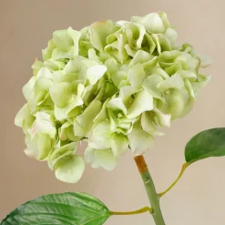 Bouquet d'Hortensias Élora