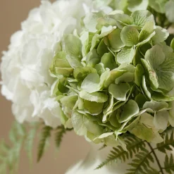 Bouquet d'Hortensias Vireya