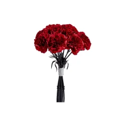 Bouquet d'Oeillets