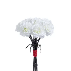Bouquet d'Oeillets