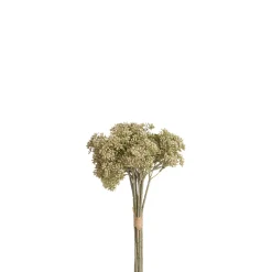 Bouquet d'Orpin 30 cm