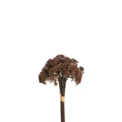 Bouquet d'Orpin 30 cm