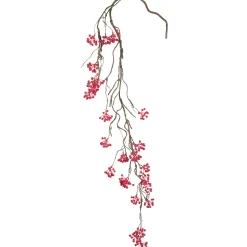 Branche de Baies