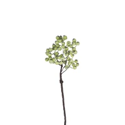 Branche de Baies