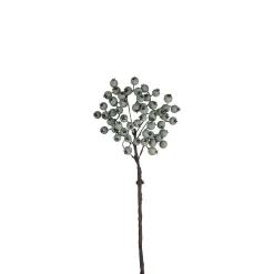 Branche de Baies