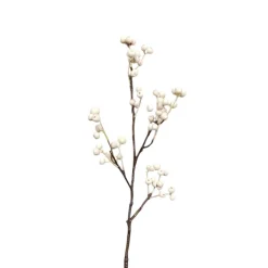 Branche de Baies