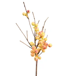Branche de Baies sauvages