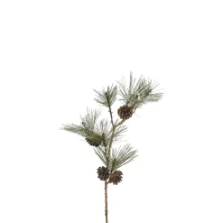 Branche de Pin enneigée