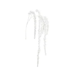 Branche de Pin enneigée