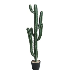 Cactus Cereus en pot 105 cm