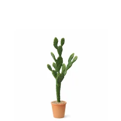 Cactus en Pot 78 cm