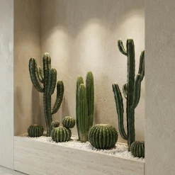 Cactus rond en pot 32 cm