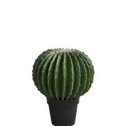 Cactus rond en pot 43 cm