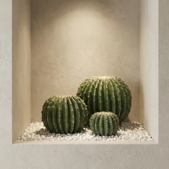 Cactus rond en pot 31 cm
