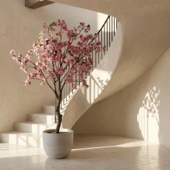 Cerisier en fleurs en pot 210cm
