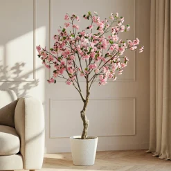 Cerisier en fleurs en pot 210cm