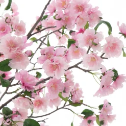 Cerisier en fleurs en pot 210cm