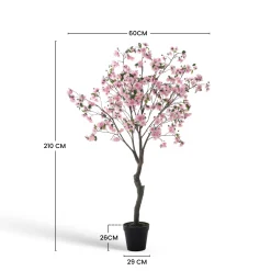 Cerisier en fleurs en pot 210cm