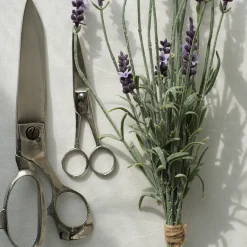 Ciseaux décoratifs