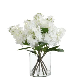 Composition d'Hydrangeas pointus en vase 55 cm