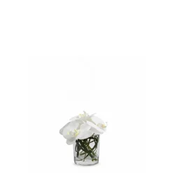 Composition d'Orchidée en vase conique Elie