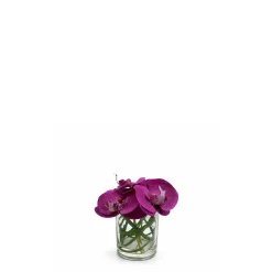 Composition d'Orchidée en vase conique Elie