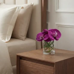 Composition d'Orchidée en vase conique Elie