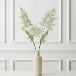 Feuillage d'Asparagus 90 cm