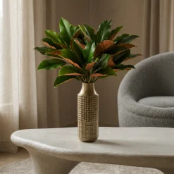 Feuillage de Magnolia Grandiflora