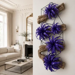 Feuillage de Tillandsia à piquer