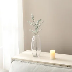 Feuillage d'Eucalyptus
