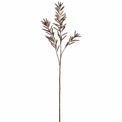 Feuillage d'Haricots 114 cm