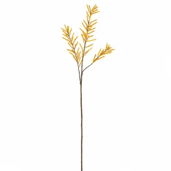 Feuillage d'Haricots 114 cm