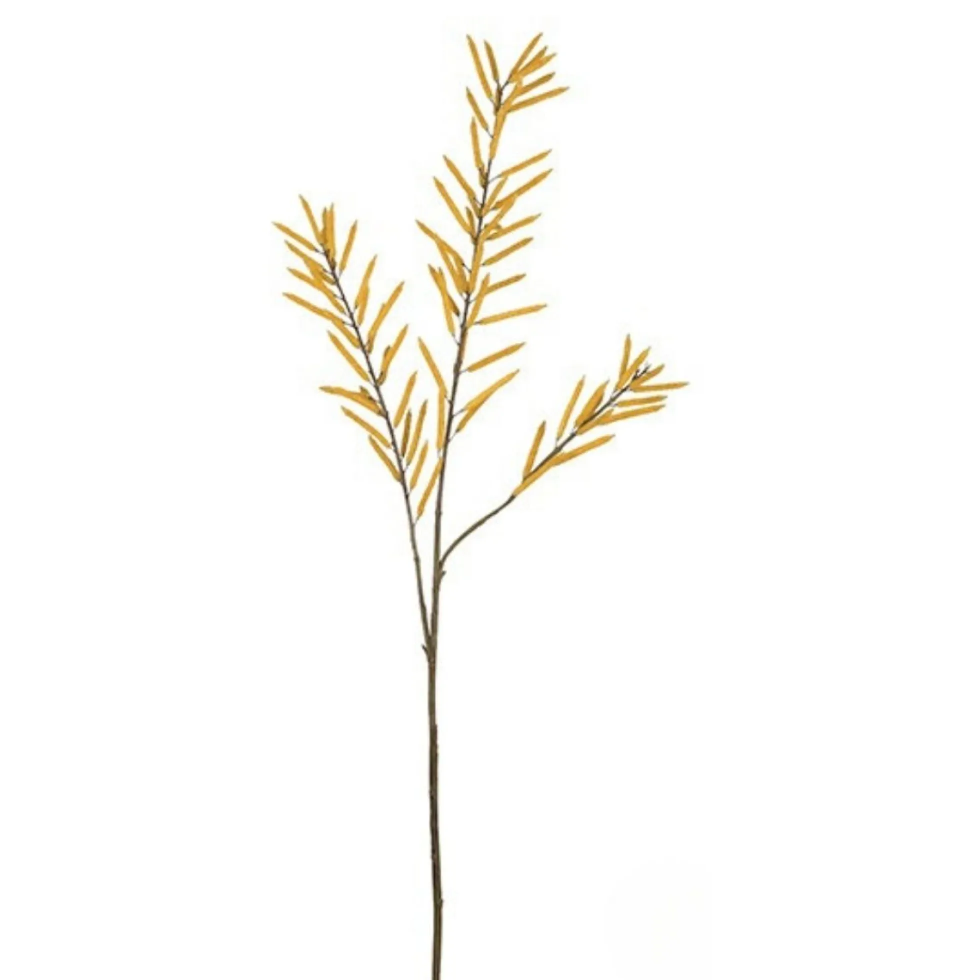 Feuillage d'Haricots 114 cm