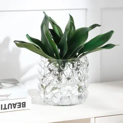 Feuillage d'Orchidée Phalae à piquer